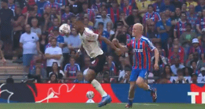 5.gif