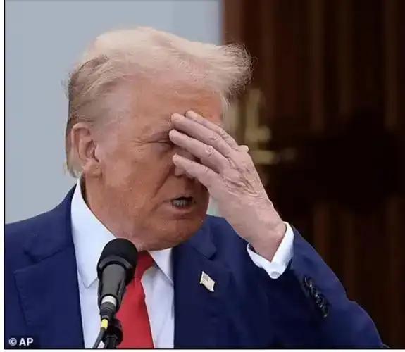 11.jpeg