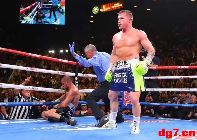 8.jpeg