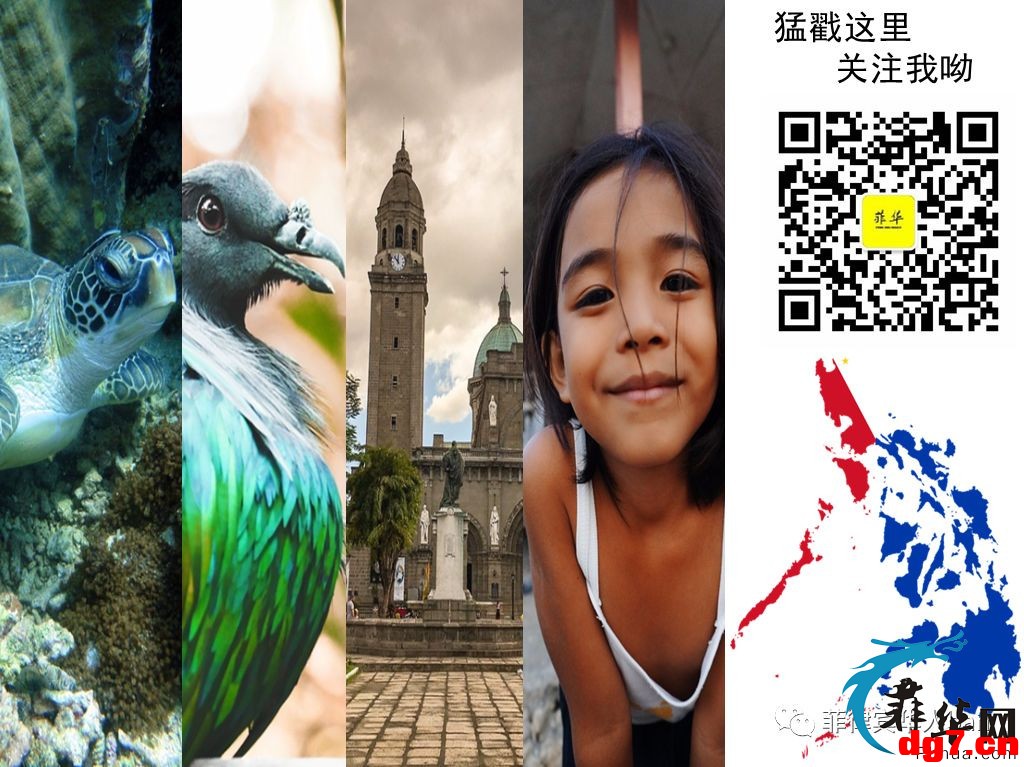 10.jpeg