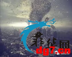 5.jpeg