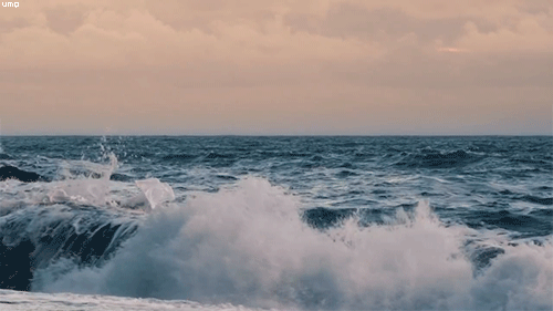 4.gif