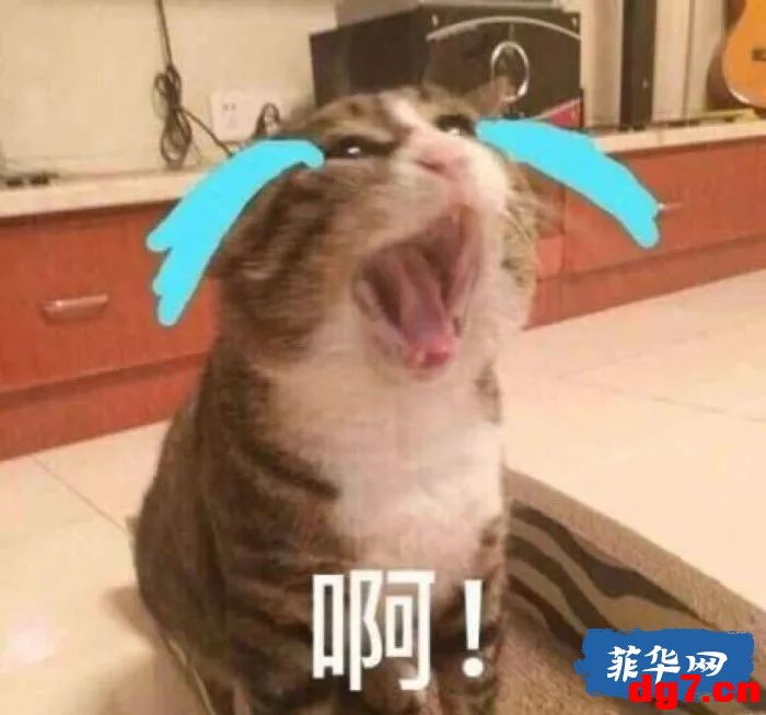 2.jpeg