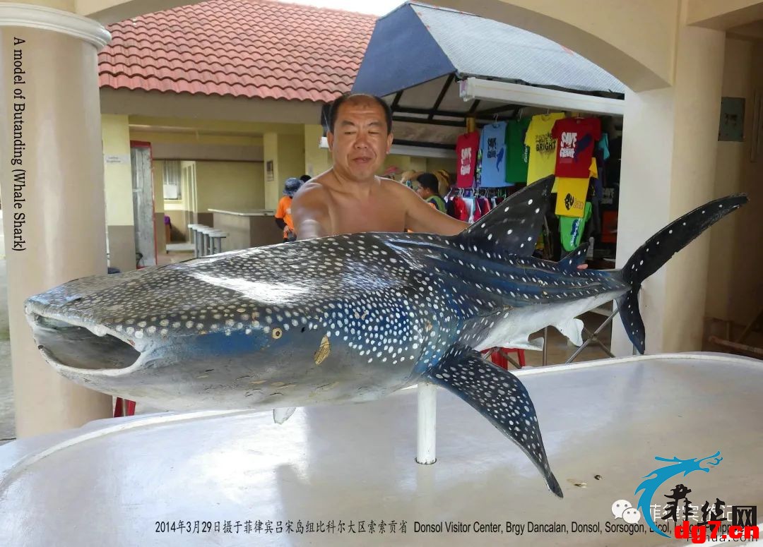 16.jpeg