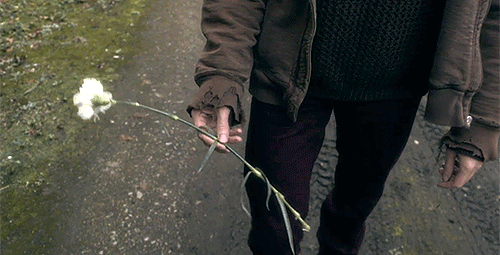 3.gif