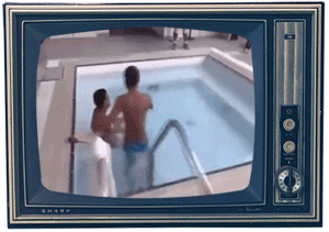 5.gif
