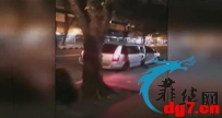 在菲律宾遭绑中国女子被曝已回家 警方确认4嫌犯身份