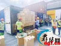 赴遍地黄金的菲律宾工作，遇各怀鬼胎的菲律宾世界