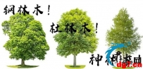 华人弃婴已被送到福利院！ 望华人真正的慈善机构帮帮无辜的孩子！