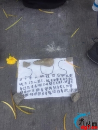 菲律宾流浪救助记 - 还记得封城4月，一大兄弟流浪马尼拉吗？